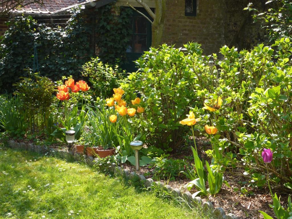 Garden Cottage Saint-Valéry-sur-Somme Rum bild